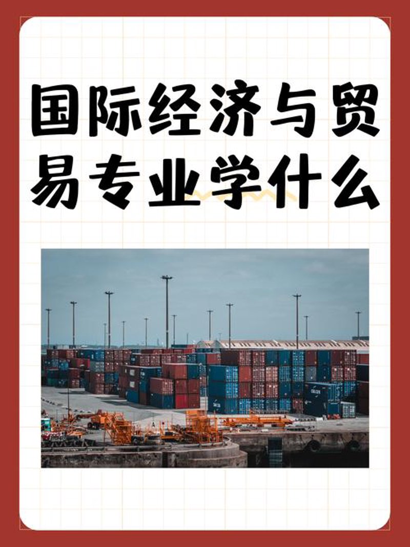 国际贸易选购指南：企业如何做出明智决策